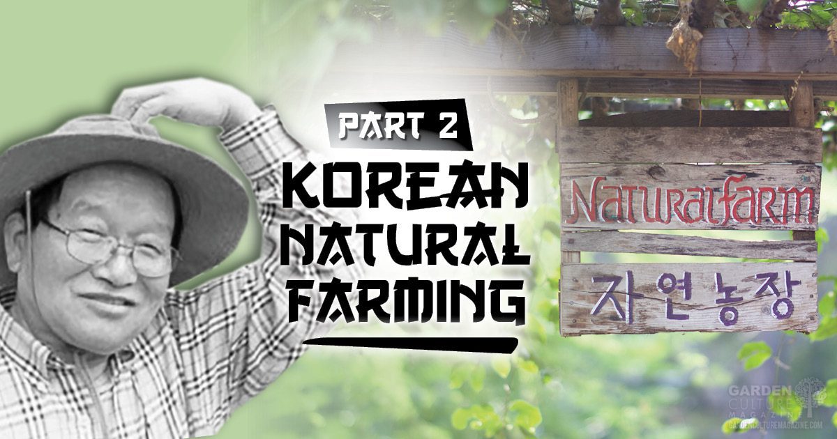 korean natural farming