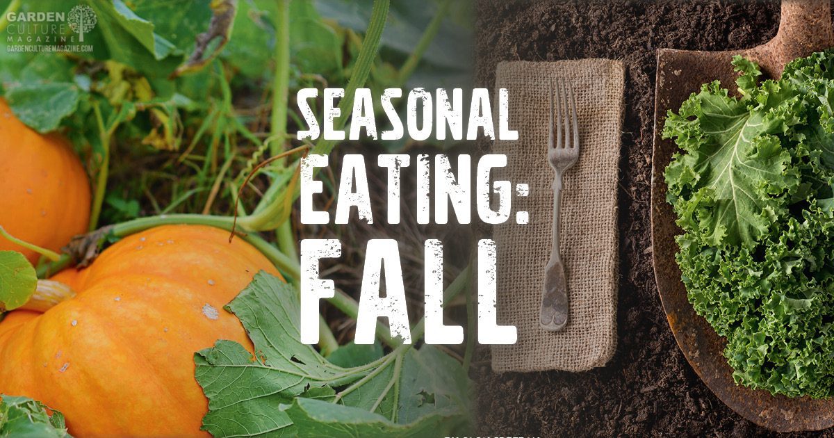 Seasonal Eating: Get Cozy With These Healthy Fall Favorites | Garden ...