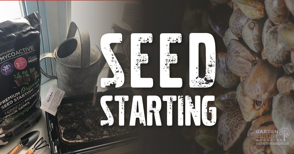 seed starting