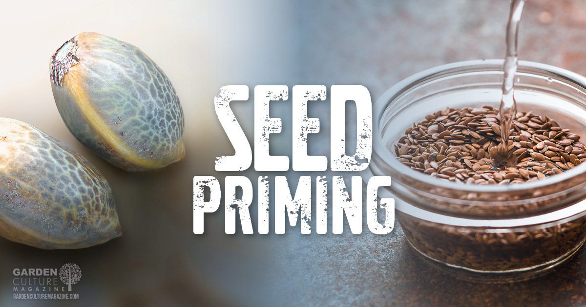Seed priming