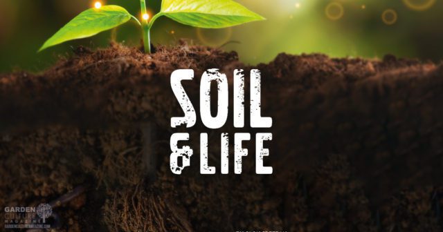 soil & life