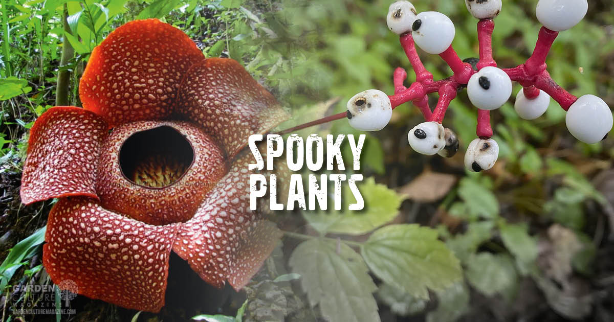 Spooky Plants