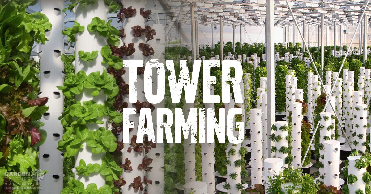 Tower Farming Technology Doing A World of Good | Garden Culture Magazine