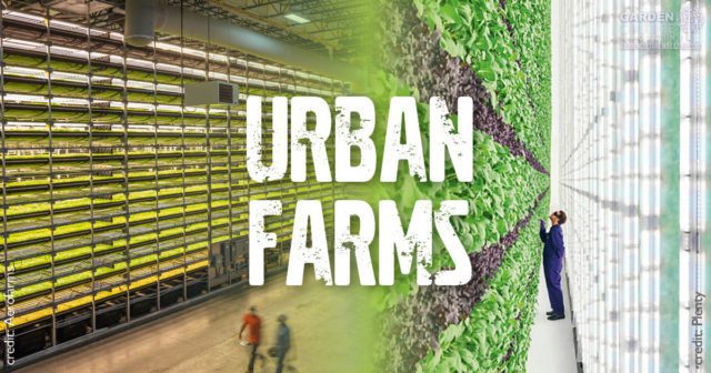urban farms