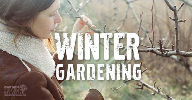 winter gardening