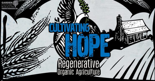 Cultivating Hope