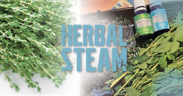 herbal steam DIY