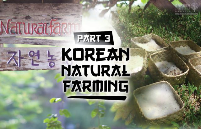 Korean Natural Farming