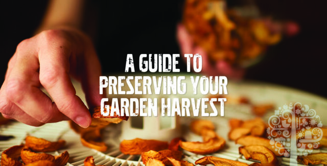 a guide to preserve your harvest