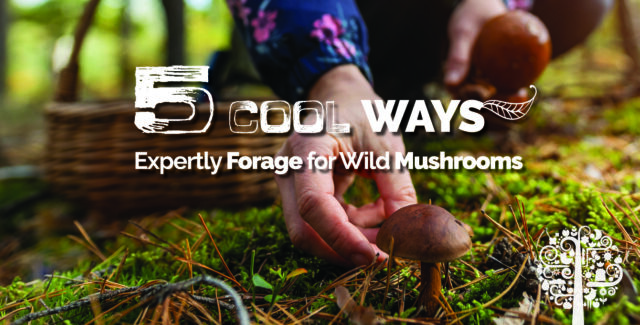 Forage for wild mushrooms.