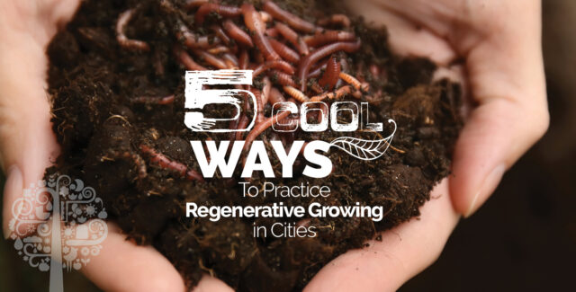 5 Cool Ways to Practice Regenerative Growing in Cities