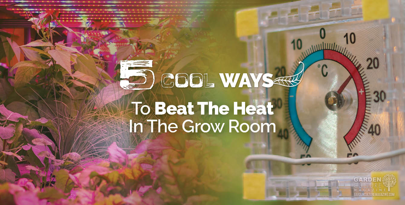 5 Cool Ways to beat Heat Stress