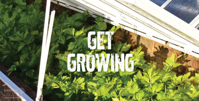 Jump start your grow season