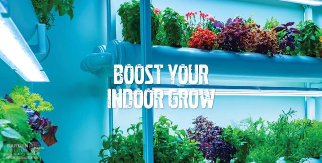Boost Your Indoor Grow