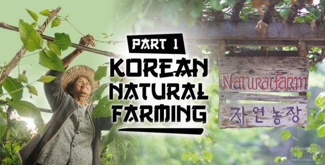 Korean Natural Farming Part 1