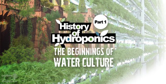 history of hydroponics