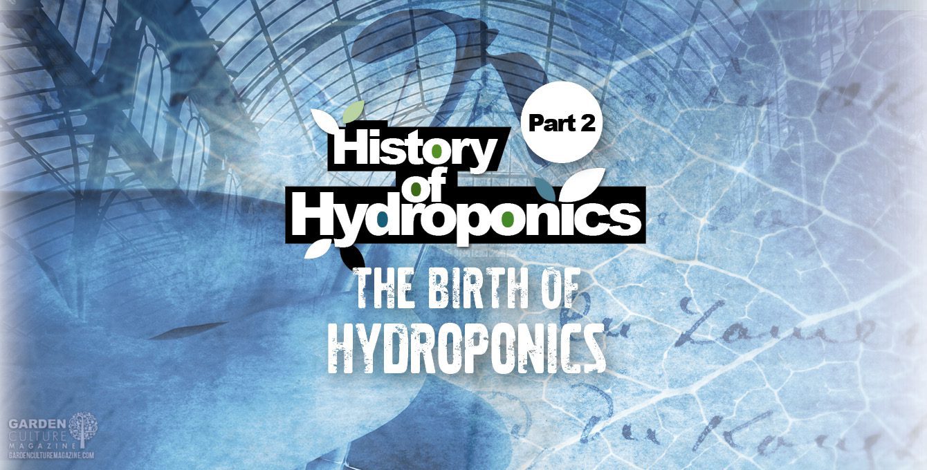 history of hydroponics