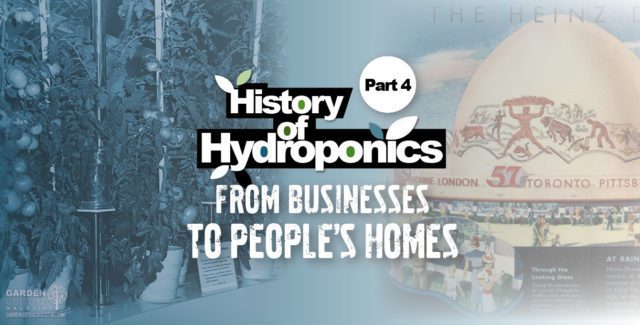 history of hydroponics