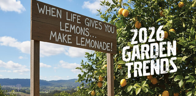 2026 garden trends