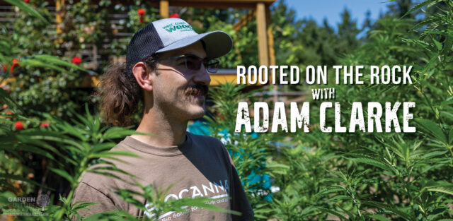 HVAC 101: Controlling Heat, Humidity, and Light Leaks in Small Grows