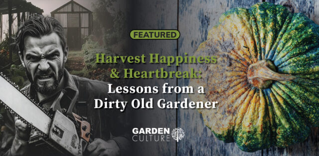 Notes from a Dirty Old Gardener - Harvest Happiness and Heartbreak