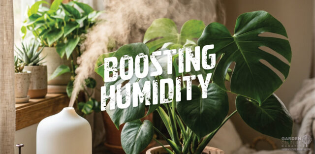 boosting humidity