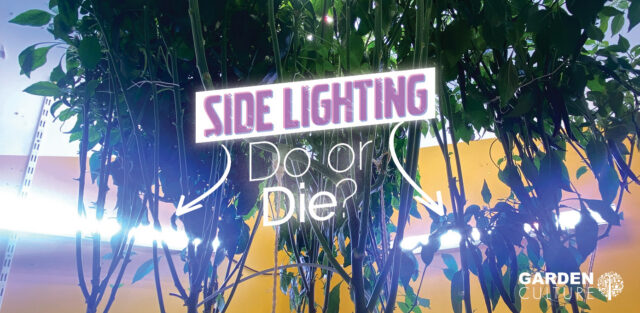 Side Lighting - Do or Die?
