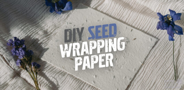 DIY Seed Wrapping Paper.