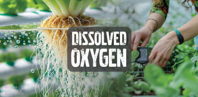 Dissolved oxygen