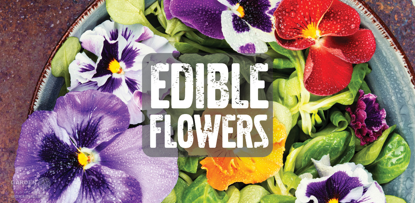 Edible flowers
