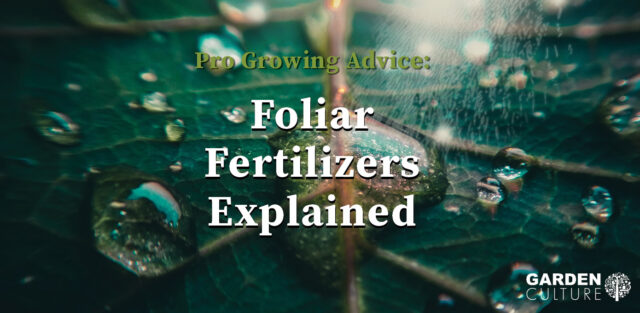 Foliar Fertilizers