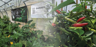 Have you ever wanted to pimp out a greenhouse?