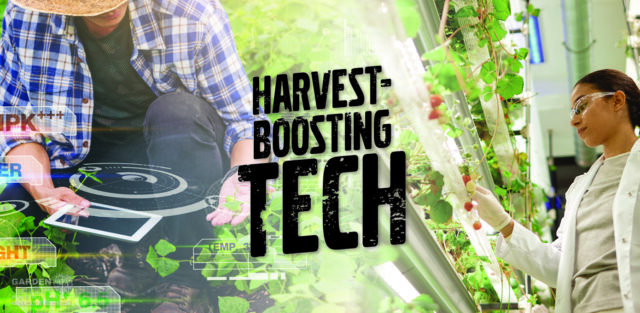 Using essential tech in the garden.