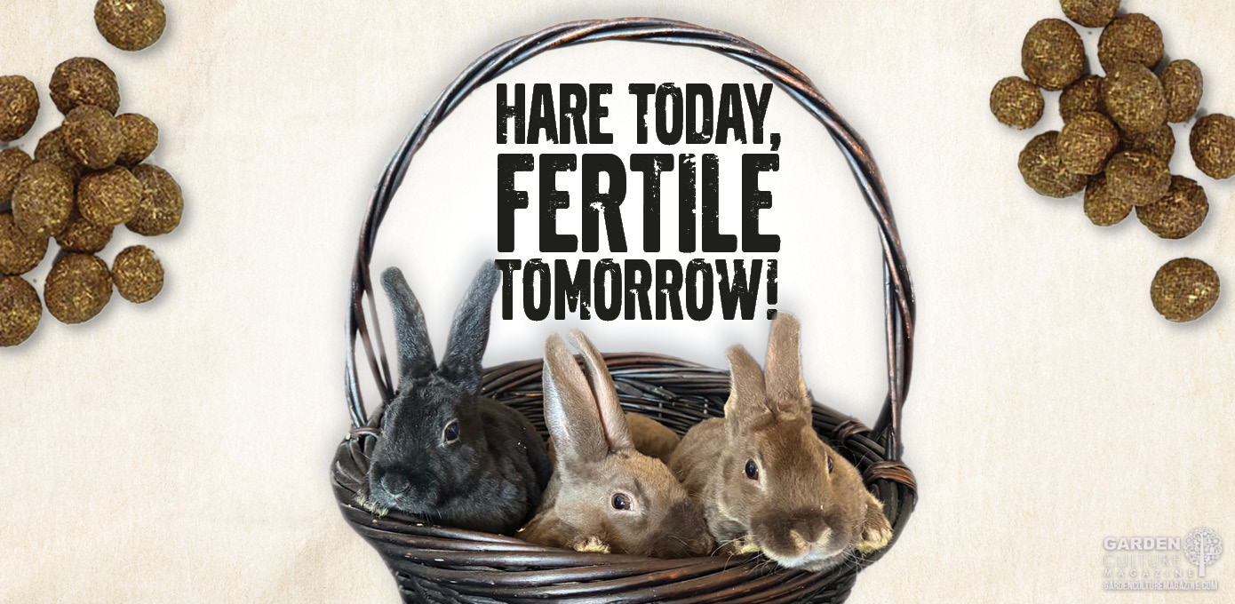 Rabbit droppings make excellent manure for the garden.