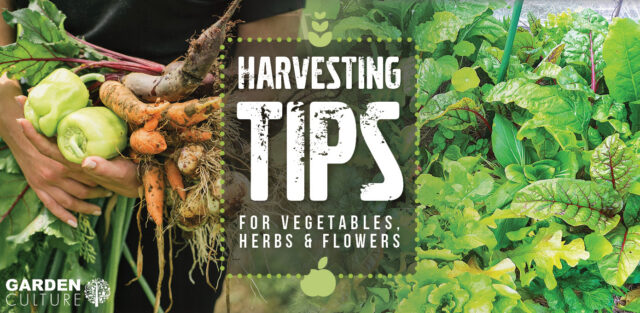 Harvesting tips