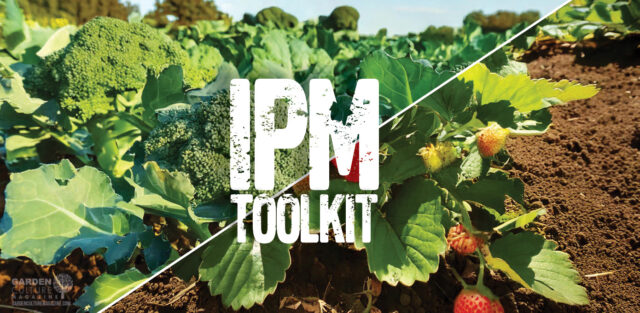 Integrated Pest Management Strategies