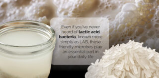Lactic Acid Bacteria are microbes good for the gut and the garden!
