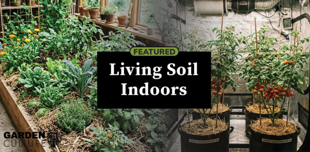 Living Soil Indoors: Practical Guidance for Stable, High-Performance Systems