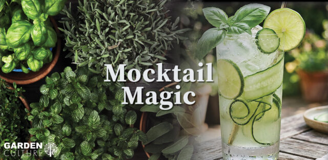 Mocktail garden