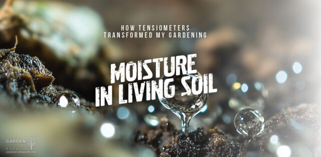 Mastering moisture in living soil.