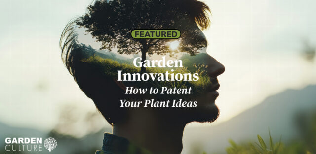 Garden Innovations - How to Patent Your Plant Ideas
