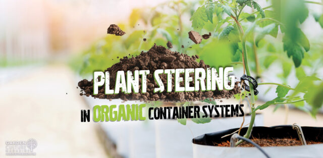 Plant steering in organic container systems.