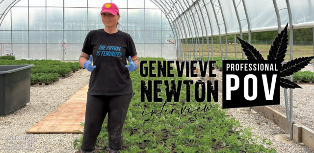 Professional POV with Genevieve Newton.