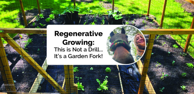 Regenerative gardening can heal the world.