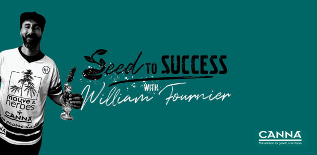 Seed to Success with Will Fournier
