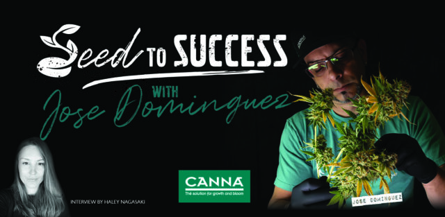 Seed to success with Jose Dominguez