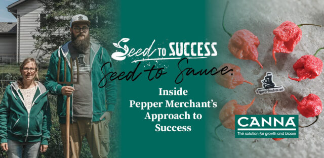 Seed to Success Pepper Merchant