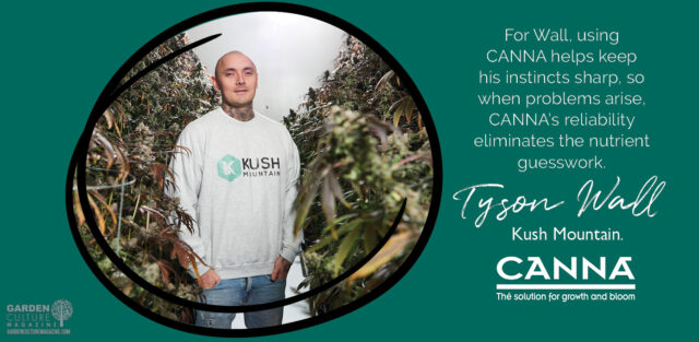 Tyson Wall - Seed to Success #4