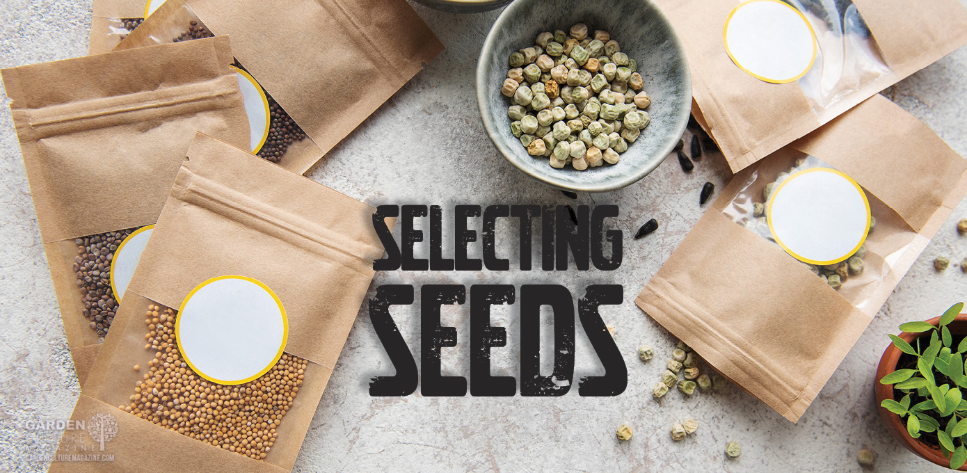 Selecting seeds