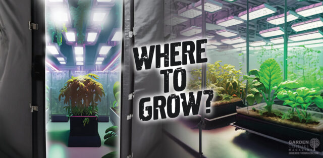 Selecting an indoor growing space.